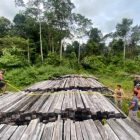 Kayu olahan yang diduga sebagai barang bukti ilegal logging di Kampung Dago , Distrik Meyado, Kabupaten Teluk Bintuni. [Foto dok Humas Polres Bintuni]