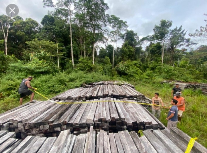 Kayu olahan yang diduga sebagai barang bukti ilegal logging di Kampung Dago , Distrik Meyado, Kabupaten Teluk Bintuni. [Foto dok Humas Polres Bintuni]
