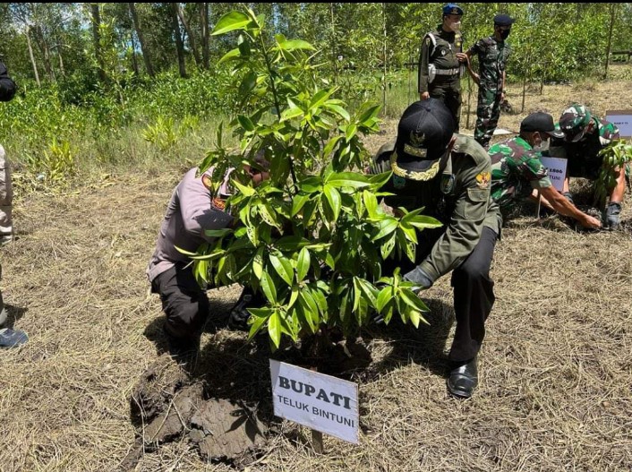 Bupati Teluk Bintuni menanam tanaman manggrove di Kampung Masina. (Foto: Dokumen Mediaprorakyat.com) 