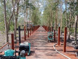 Bupati Teluk Bintuni Tinjau Proyek Persiapan Festival Mangrove di Kampung Masina