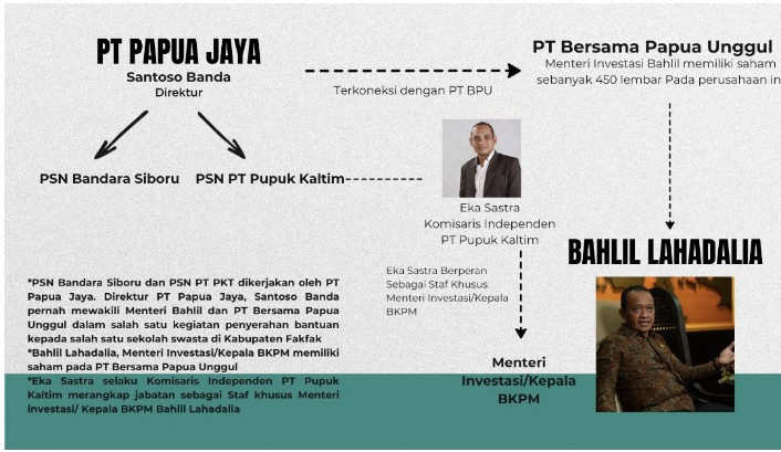 Gambar 1: Pemain Proyek Strategis Nasional di Kabupaten Fakfak