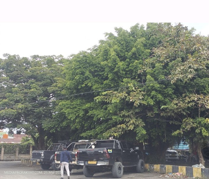 Tampak kendaraan roda empat Hilux terparkir di pangkalan rute Pasar Sentral Bintuni - Moskona Raya, Kamis (21/3/2024). Foto: Haiser Situmorang.