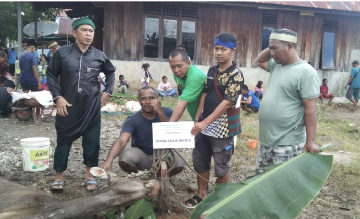 Panitia Qurban Masjid Babussalam menyembelih sapi sumbangan dari Pemkab Teluk Bintuni.