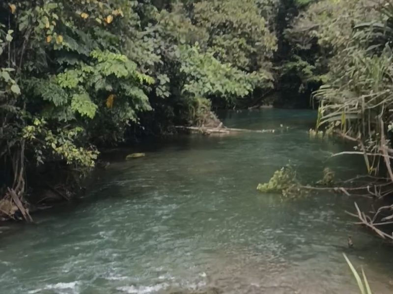 Kali Biru Merdey, Surga Tersembunyi di Teluk Bintuni Menarik Perhatian Wisatawan