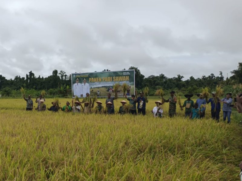 Panen padi bersama di lahan sawah Kampung Waraitama, Sabtu, 5 April 2025.  