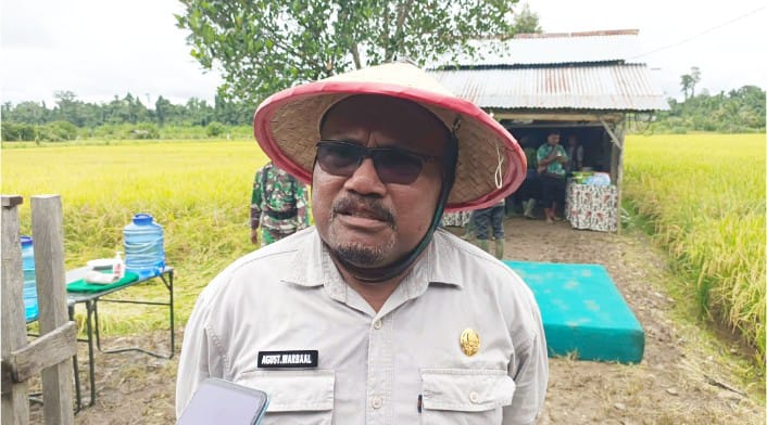 Kepala Bidang Pertanian pada Dinas Tanaman Pangan, Hortikultura, dan Perkebunan (TPHBUN) Papua Barat, Agustinus Warbal saat memberikan keterangan kepada wartawan, Sabtu (5/4/2025)  