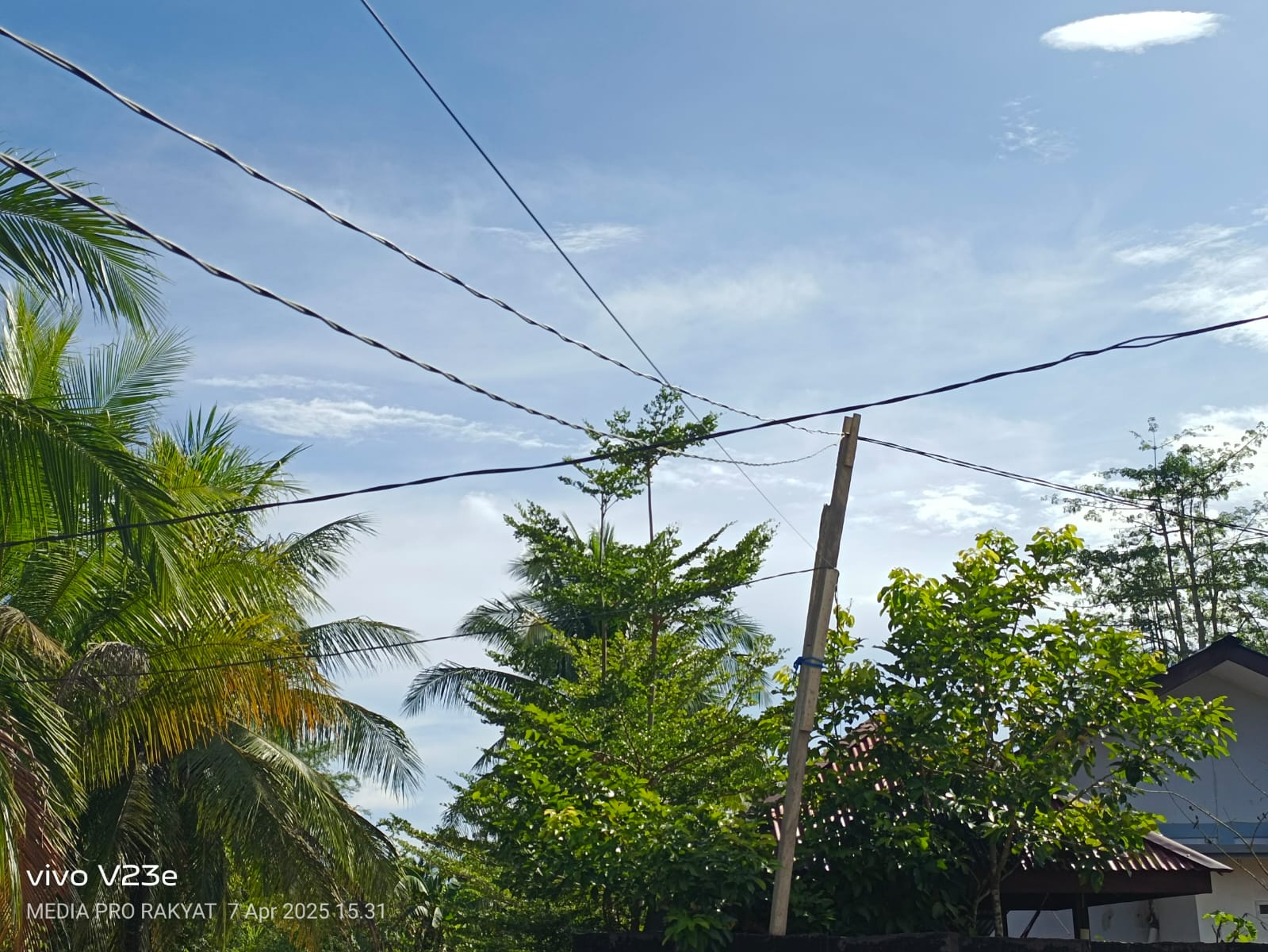 Gambar jaringan kabel listrik yang menggunakan tiang kayu seadanya.