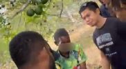 Petugas dari Tim Macan Gunung mengamankan terduga pelaku pembacokan di sebuah area kebun sebelum dibawa ke Polres Teluk Bintuni, Jumat (14/11/2025).